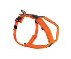 Hundsele Non-Stop Dogwear Line Harness Orange